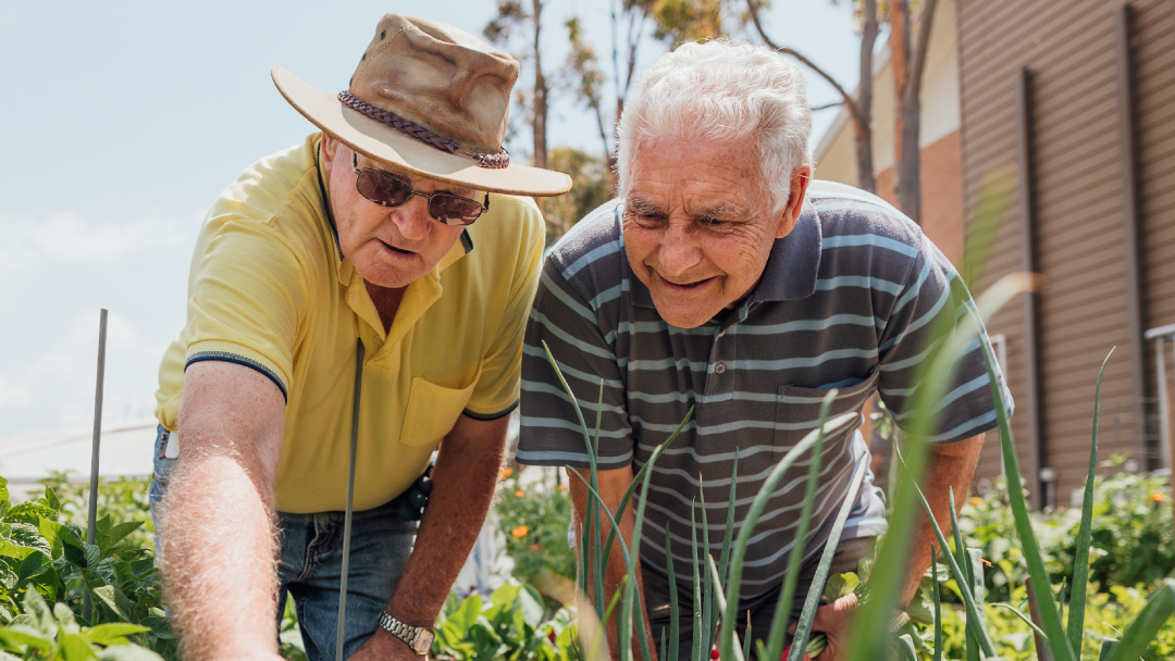 Client information - Four Villages Link Scheme